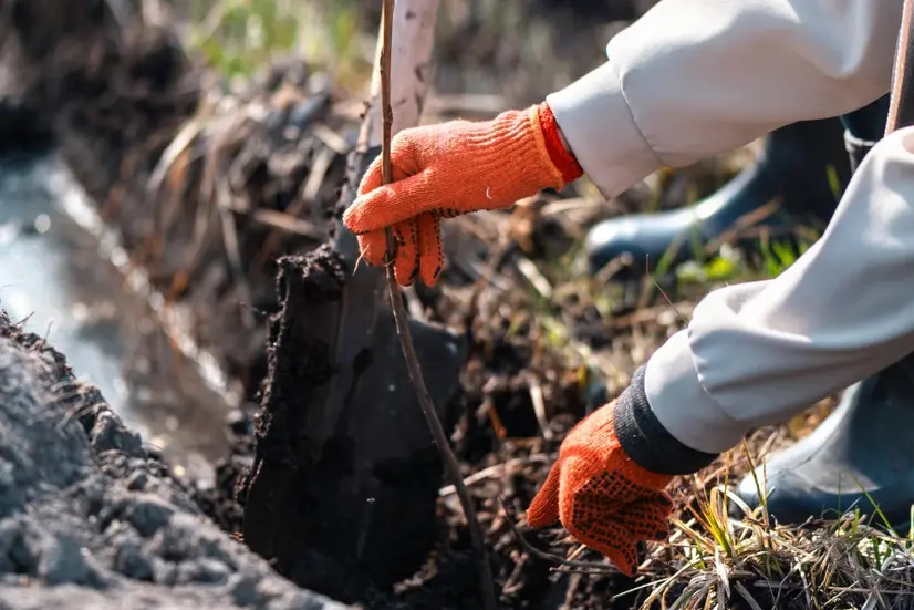 Metode dan Teknik Rehabilitasi Lahan Kritis